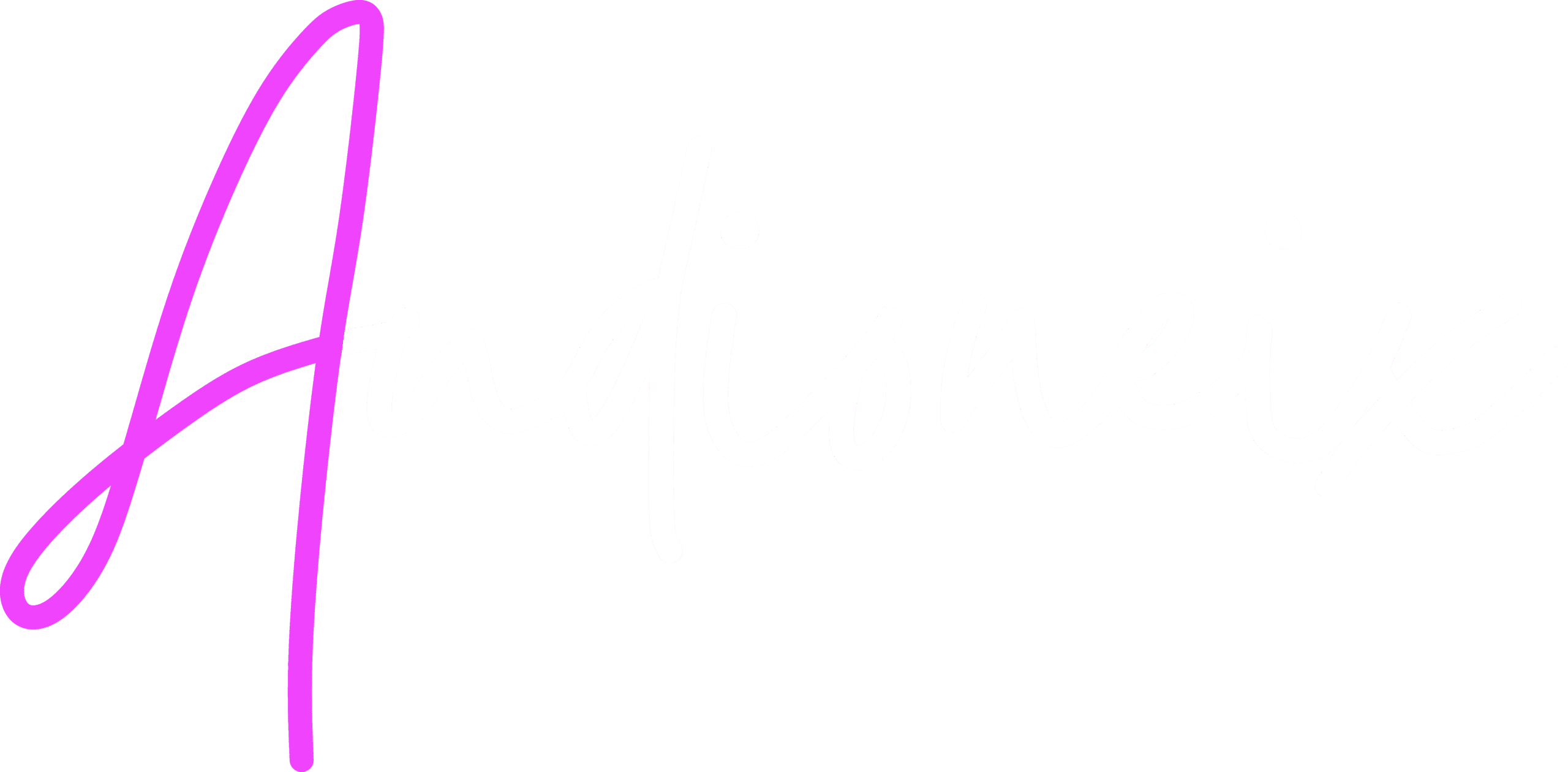 audioneik logo
